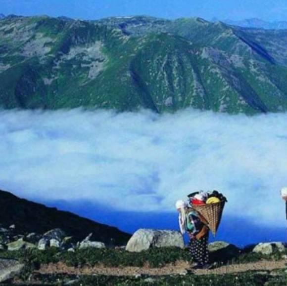 Meet your Posher, Ayse - Picture 1 of 1